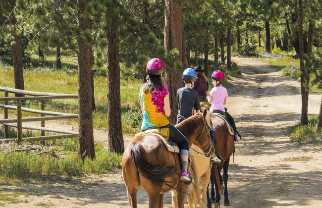 Horse Riding in Bodrum - Photo 4