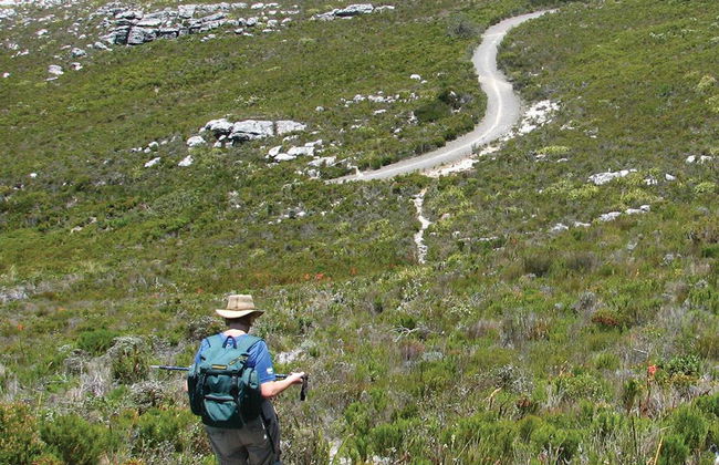 Excursion d'une demi-journée Aventure de randonnée en montagne - Photo 2