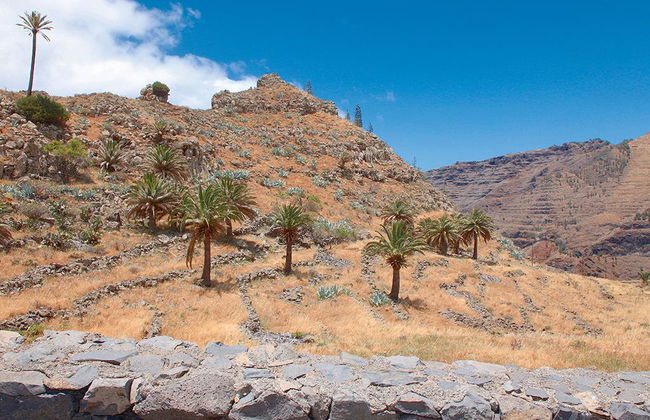 La Gomera - From the North of the Island - Foto 1