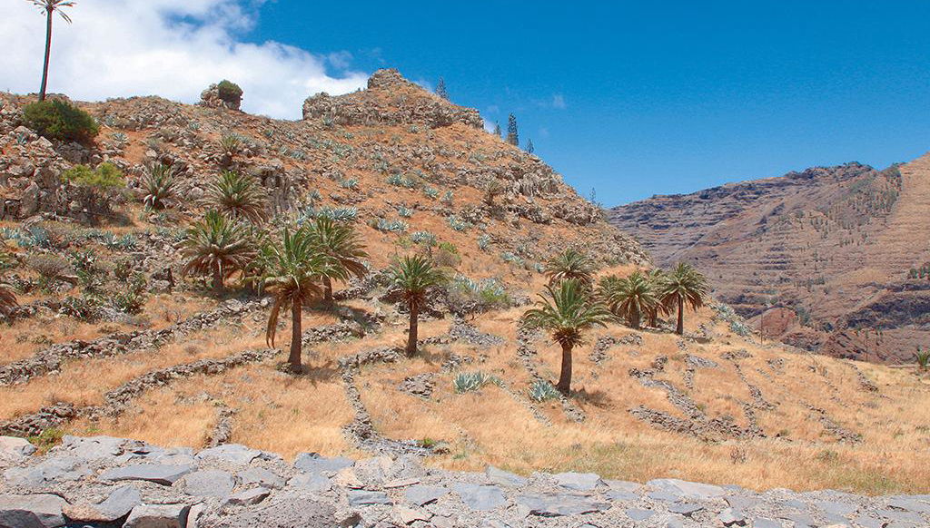 La Gomera - From the North of the Island - Foto 1