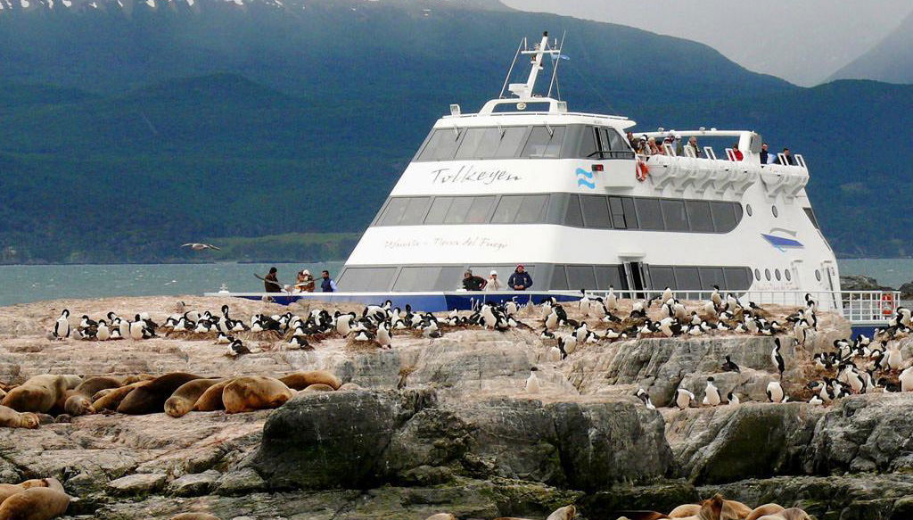 Pingüinera Catamaran Cruise - Photo 1