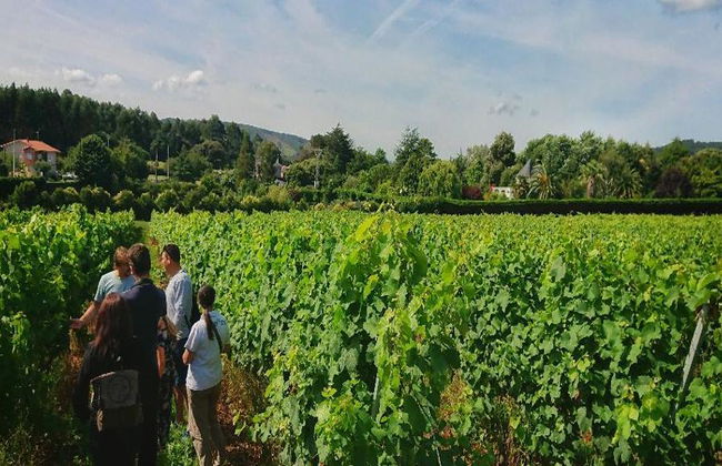 Gastronomy Tour: Flavours of Cantabria - Photo 3