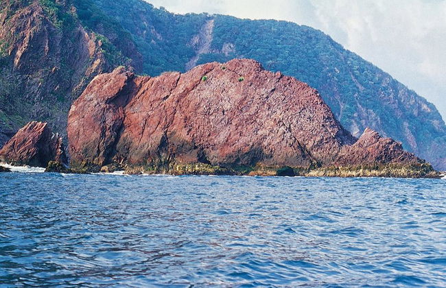 Croisière et Snorkeling dans la baie - Photo 4
