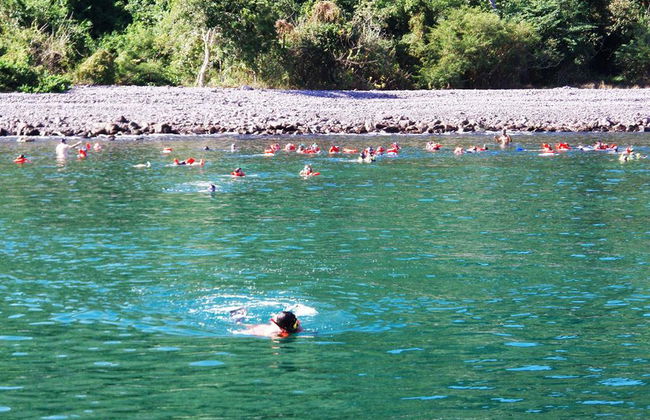 Croisière et Snorkeling dans la baie - Photo 2
