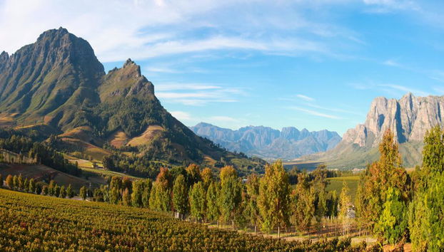 Ganztages Private Cape Winelands Tour - Auf Englisch - Foto 3