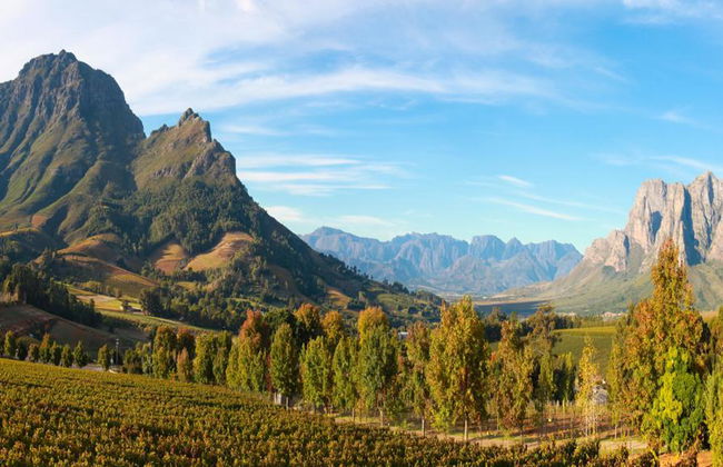 Ganztages Private Cape Winelands Tour - Auf Englisch - Foto 3