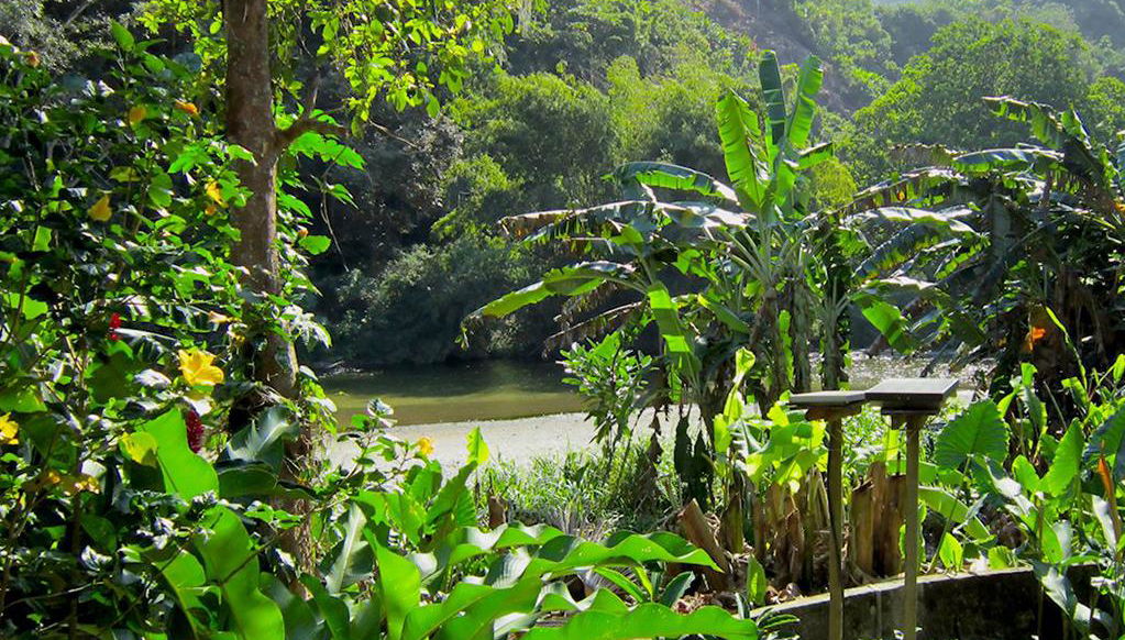 Visit the Taironaka ecoturism centre - Photo 1
