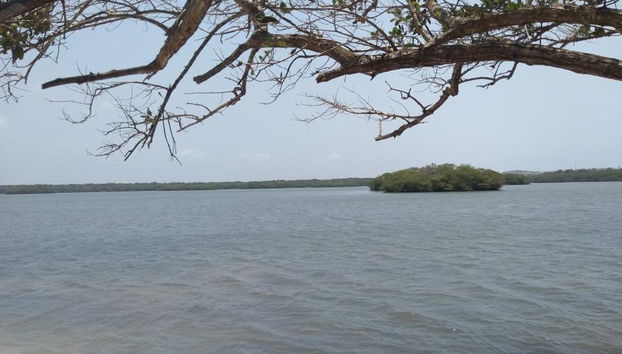 Lagune de Mandinga, Nature et Gastronomie - Photo 3