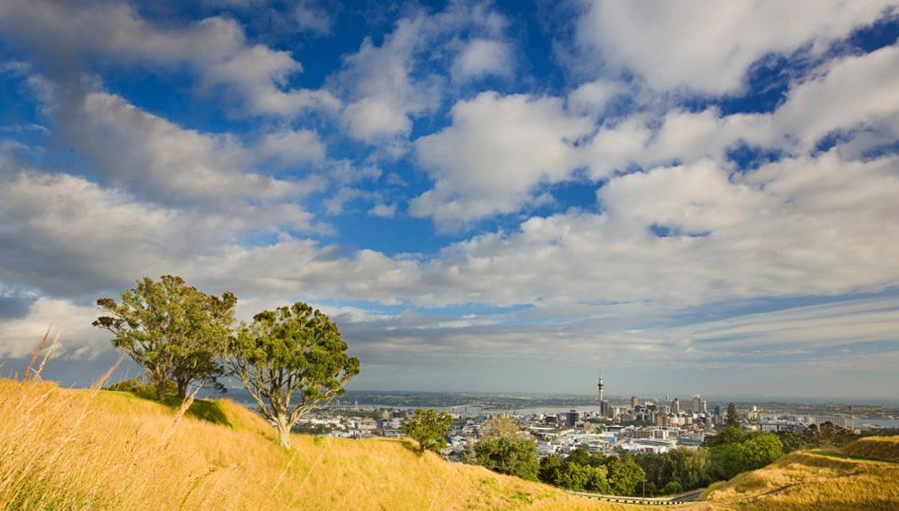 Tour di lusso di Auckland e della West Coast - Foto 1