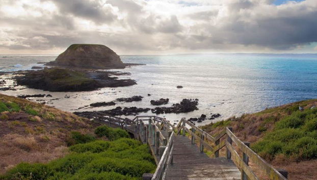 Desfile de pingüinos y fauna salvaje de Phillip Island - Tour de un día entero - Foto 2