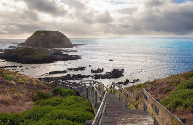 Desfile de pingüinos y fauna salvaje de Phillip Island - Tour de un día entero - Foto 2