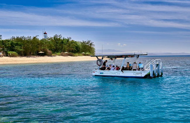 Wavedancer Low Isles Cruise from Port Douglas - Foto 4