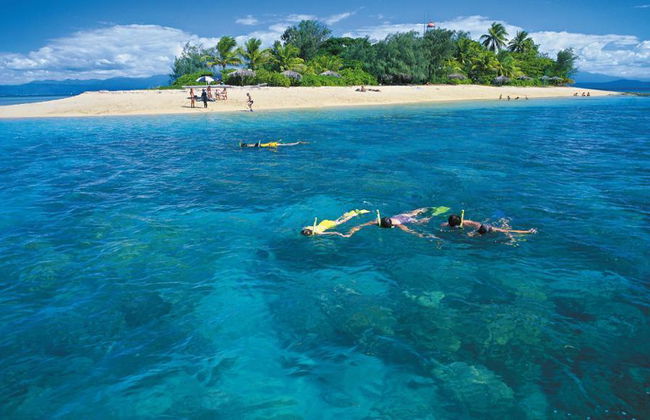 Wavedancer Low Isles Cruise from Port Douglas - Foto 5