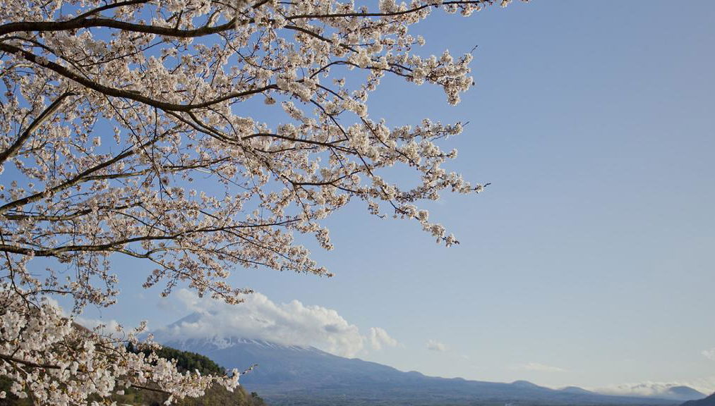 Monte Fuji con lago Kawaguchico y Oshino Hakkai - Excursión de día completo - Foto 1