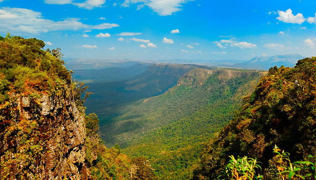 Mpumalanga Panorama Tour including God’s Window and Blyde River Canyon - Foto 4