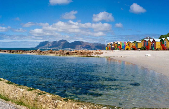 Visite de journée entière : Points d'intérêt de la ville du Cap - Photo 3