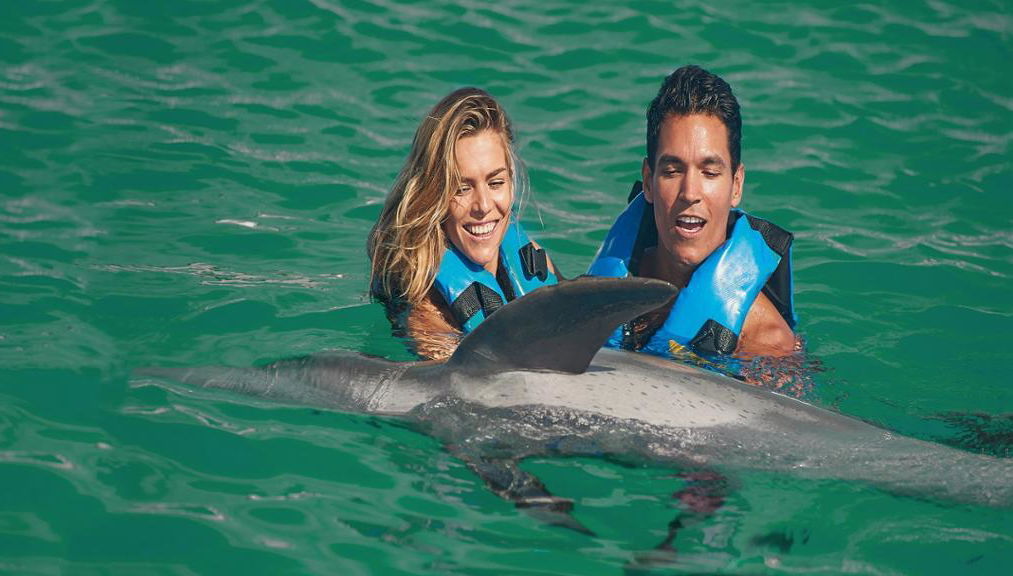 Nado com golfinhos em Puerto Aventuras - Foto 1