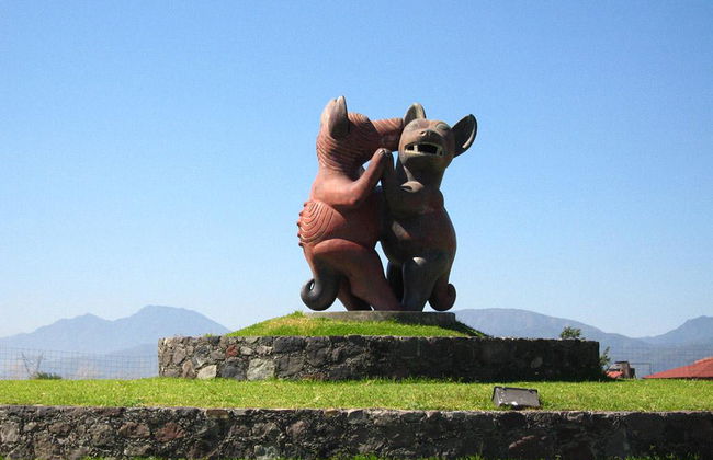 Colima Colonial - Photo 3