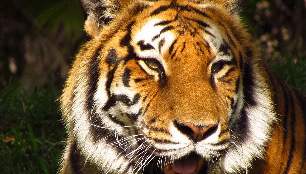 Zoo de Miami - Photo 1