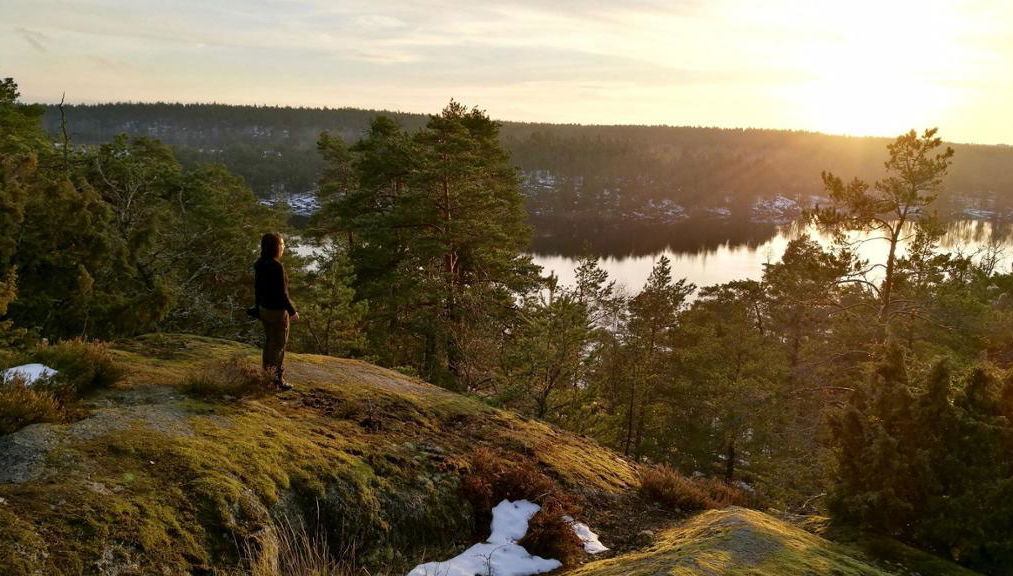 Stockholm Hike - From 2 people - Photo 1