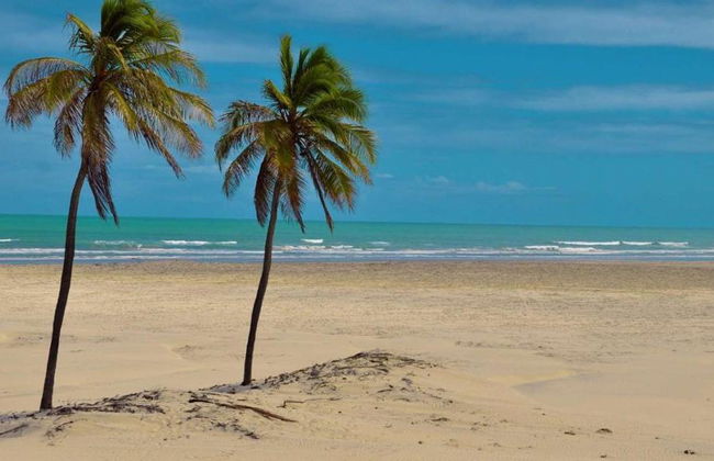 Escursione di un'intera giornata a Mangue Seco - Foto 2