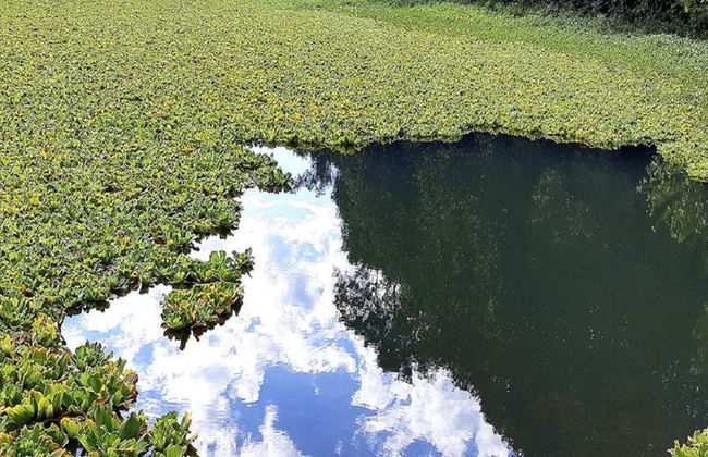 Iguazu Secret Falls - Half Day Tour - Photo 4
