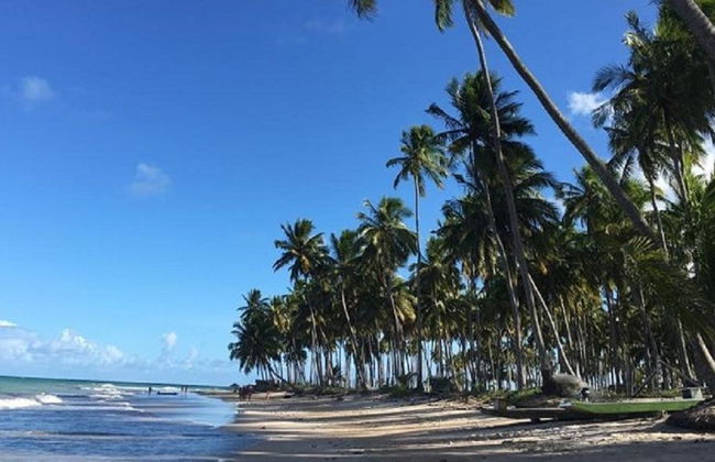 Playa de Carneiros - Tour de un día entero - Foto 4