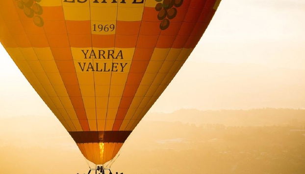 Yarra Valley Ballooning Flight - Foto 3
