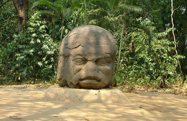 De la Venta Museum - Photo 5