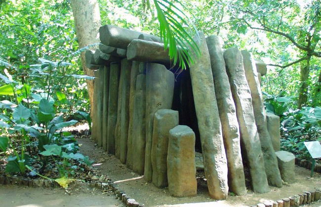 De la Venta Museum - Photo 4