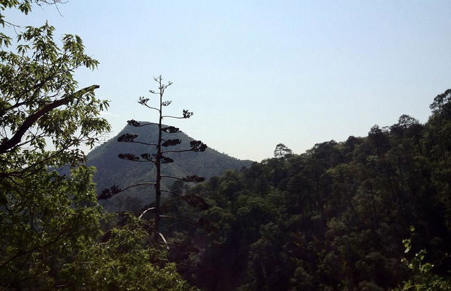 Tour de Chipinque - Foto 2
