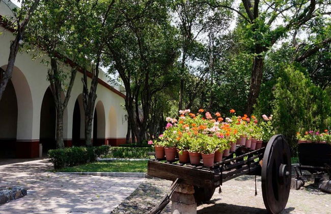 Antique Property Queretaro Tour - Photo 3