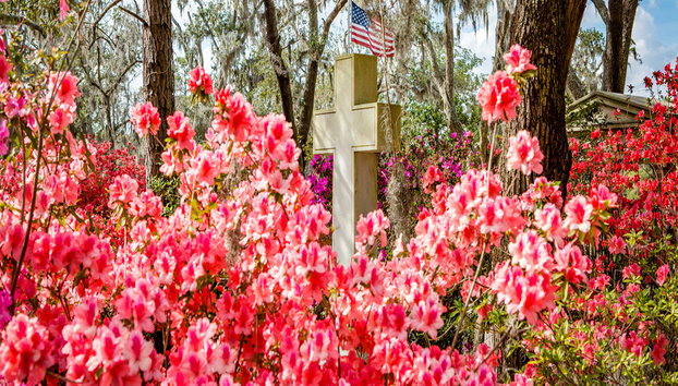 Fort Jackson and Bonaventure History Day Tour - Photo 4