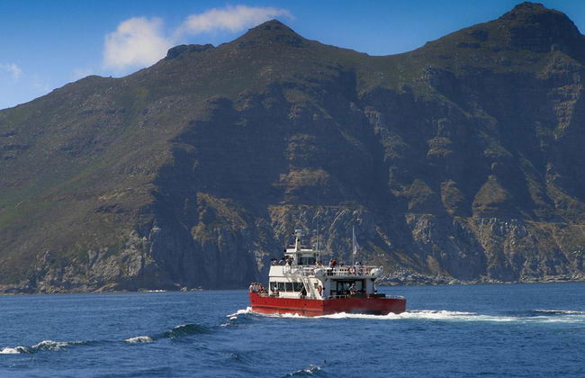Visite de journée entière dans la péninsule de Cape Town - Photo 4