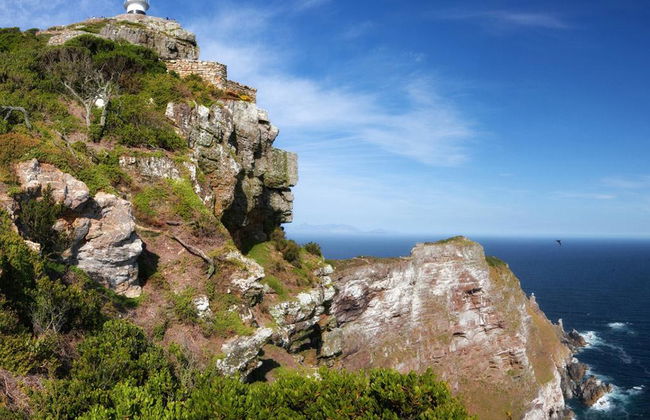 Visite de journée entière dans la péninsule de Cape Town - Photo 2