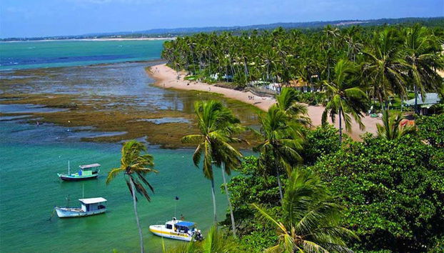 Praia do Forte- Local de Nidificação de Tartarugas - Foto 4