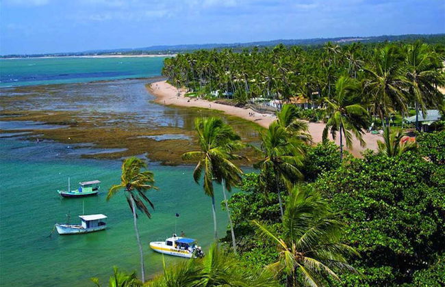 Praia do Forte- Local de Nidificação de Tartarugas - Foto 4