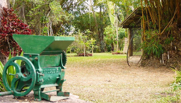 Tour a finca cafetera cerca de Bogotá - Foto 2