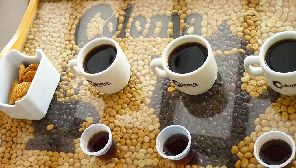 Tour a finca cafetera cerca de Bogotá - Foto 1