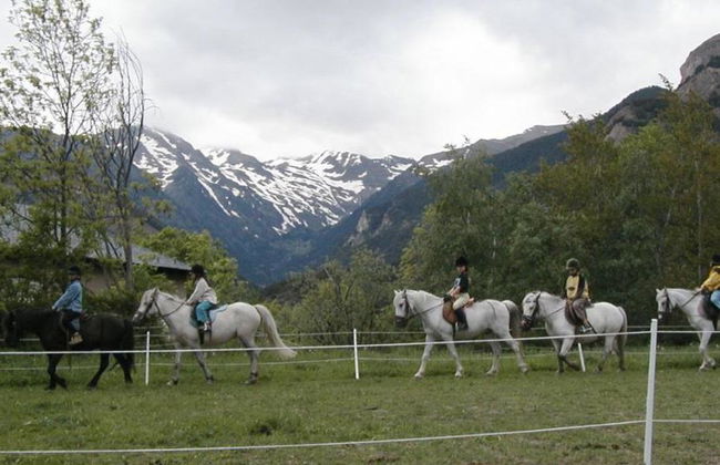 Hípica L'Aldosa - Foto 4