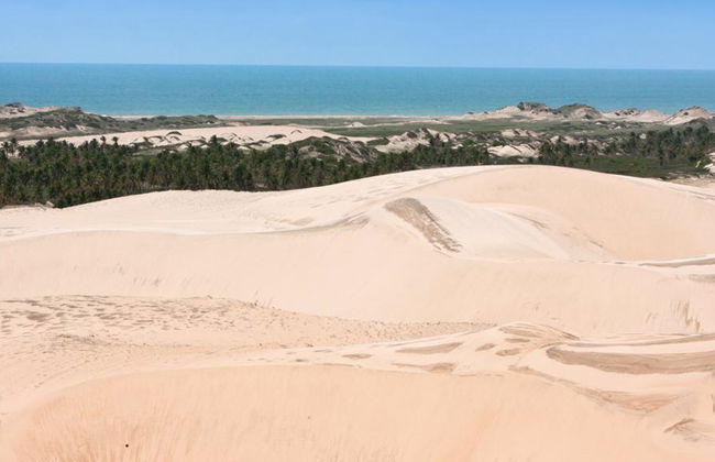 Excursión a la playa de Mundaú - Foto 7