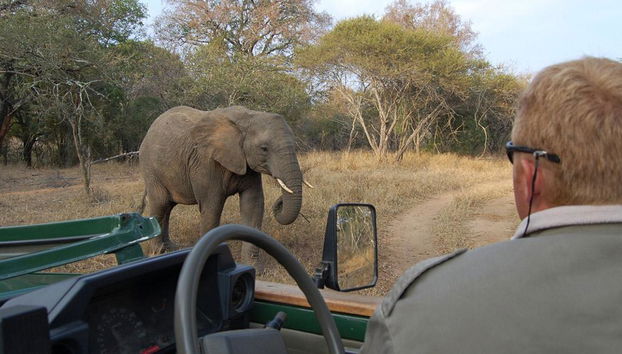 Safari en vehículo abierto por el Parque Nacional Kruger - Foto 4