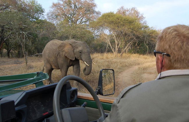 Safari en vehículo abierto por el Parque Nacional Kruger - Foto 4