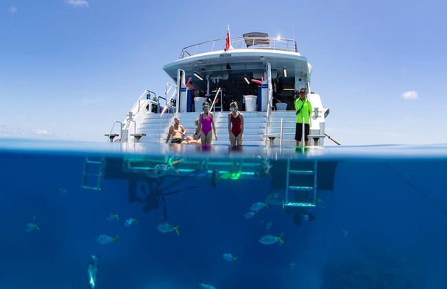 Silverswift Outer Barrier Reef Cruise - Foto 6