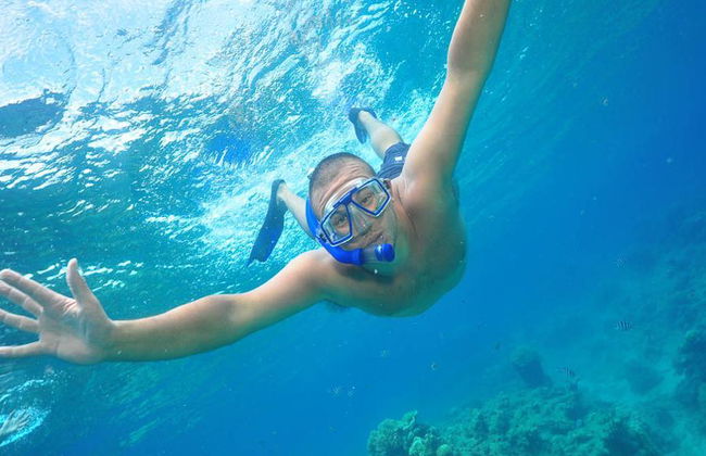 Silverswift Outer Barrier Reef Cruise - Foto 4
