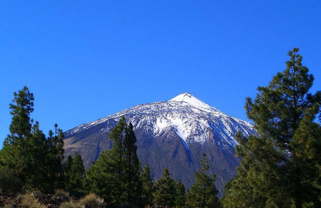 Cañadas del Teide - Half Day Tour - Foto 2