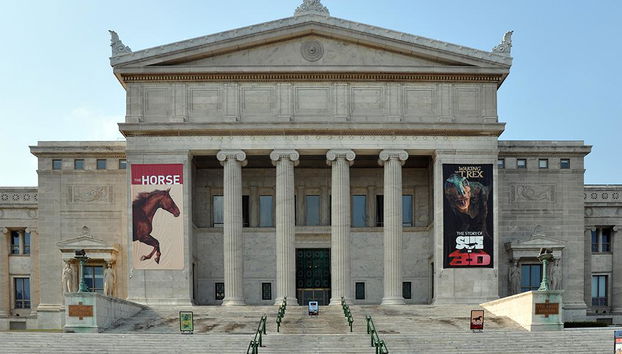 Das Field Museum - Foto 3