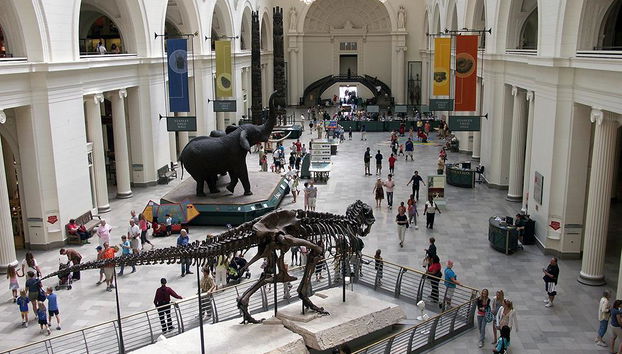 Das Field Museum - Foto 2
