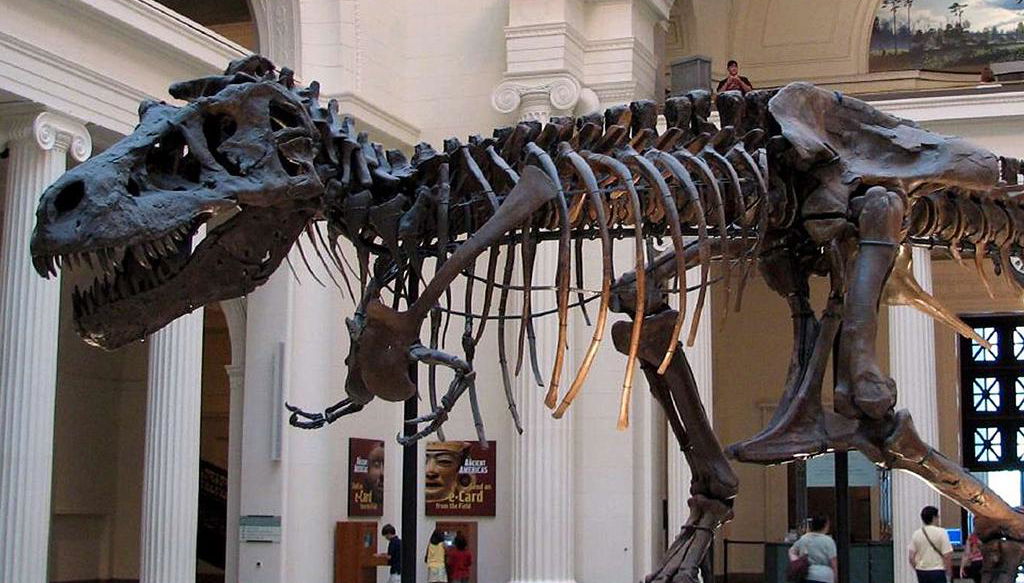 Das Field Museum - Foto 1