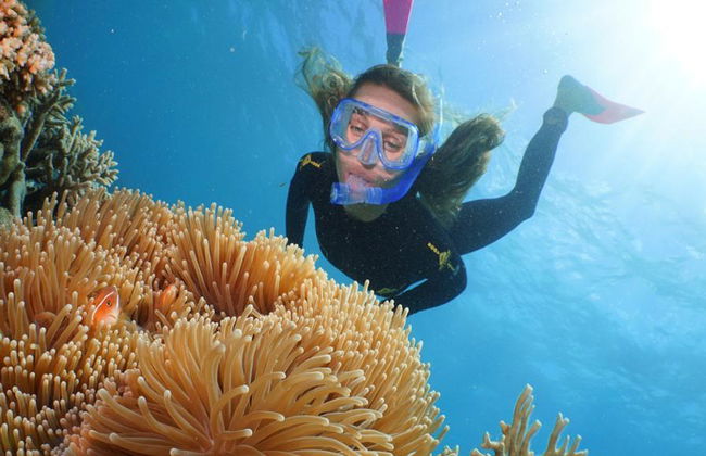 Quicksilver Outer Reef Cruise – Agincourt Reef de Port Douglas - Foto 5